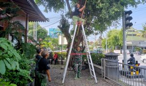 WhatsApp Image 2025-11-24 at 12.23.44