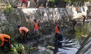 WhatsApp Image 2025-12-05 at 11.44.55