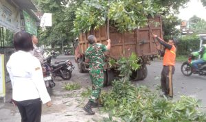 WhatsApp Image 2026-01-28 at 12.56.53